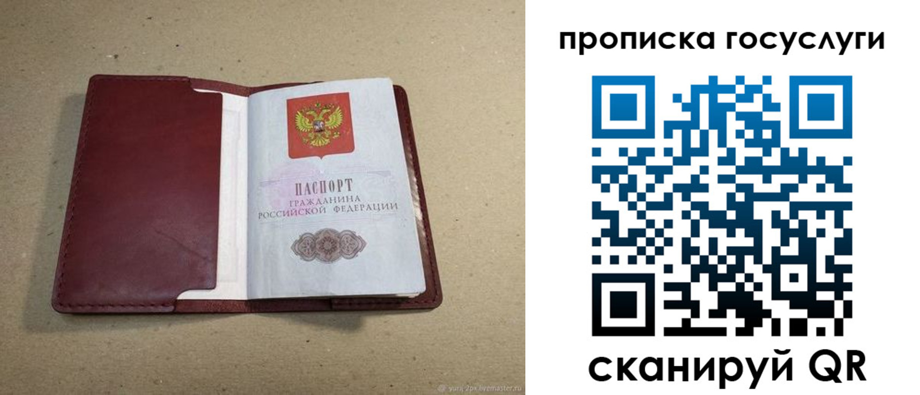 прописка поиск в Дальнереченске